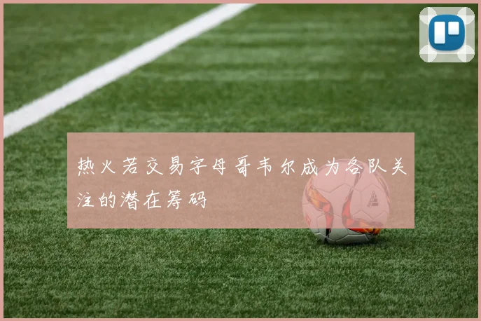 热火若交易字母哥韦尔成为各队关注的潜在筹码