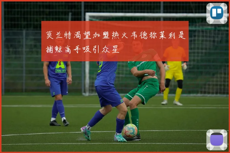 莫兰特渴望加盟热火韦德称莱利是捕鲸高手吸引众星
