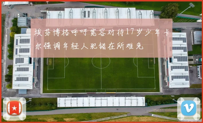 埃芬博格呼吁宽容对待17岁少年卡尔强调年轻人犯错在所难免